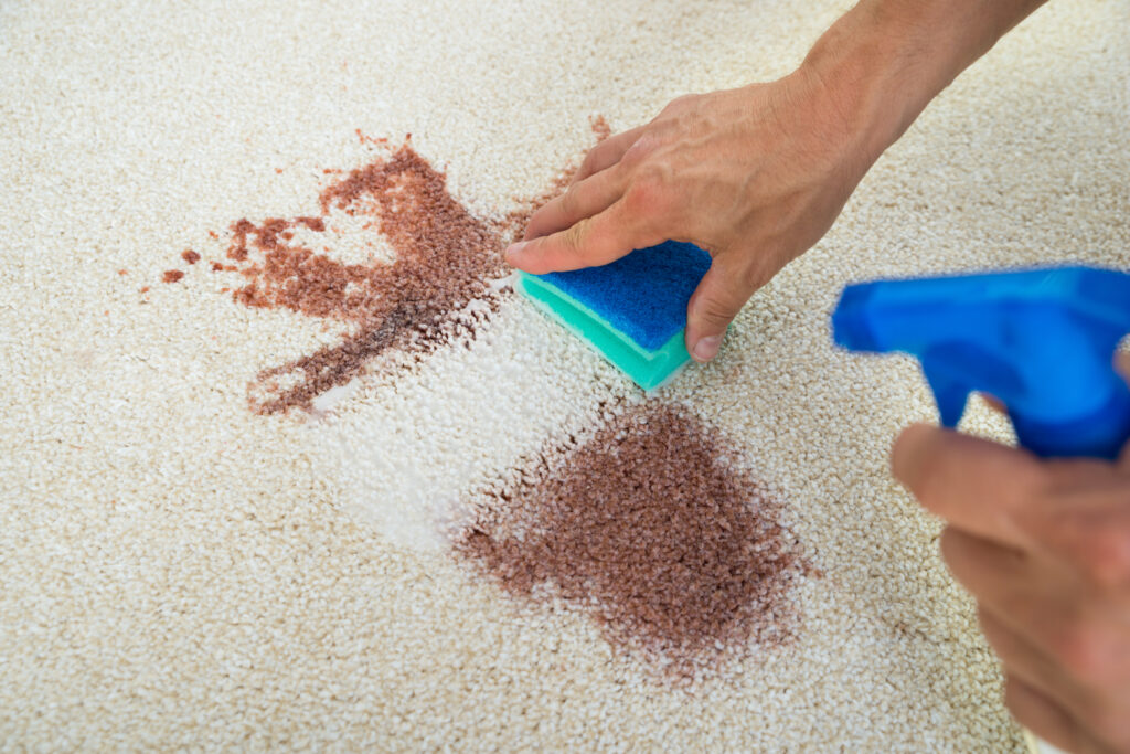 How to Get Poop Stains Out of Carpet 1 how to get poop stains out of carpet