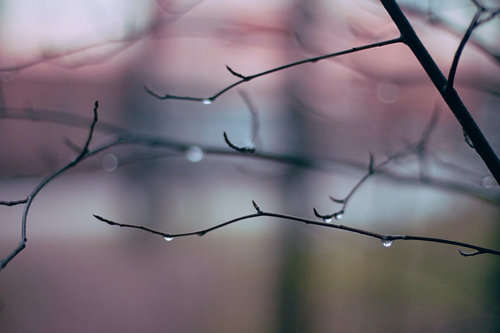 Structural Drying | Water Damaged Properties | AllAces