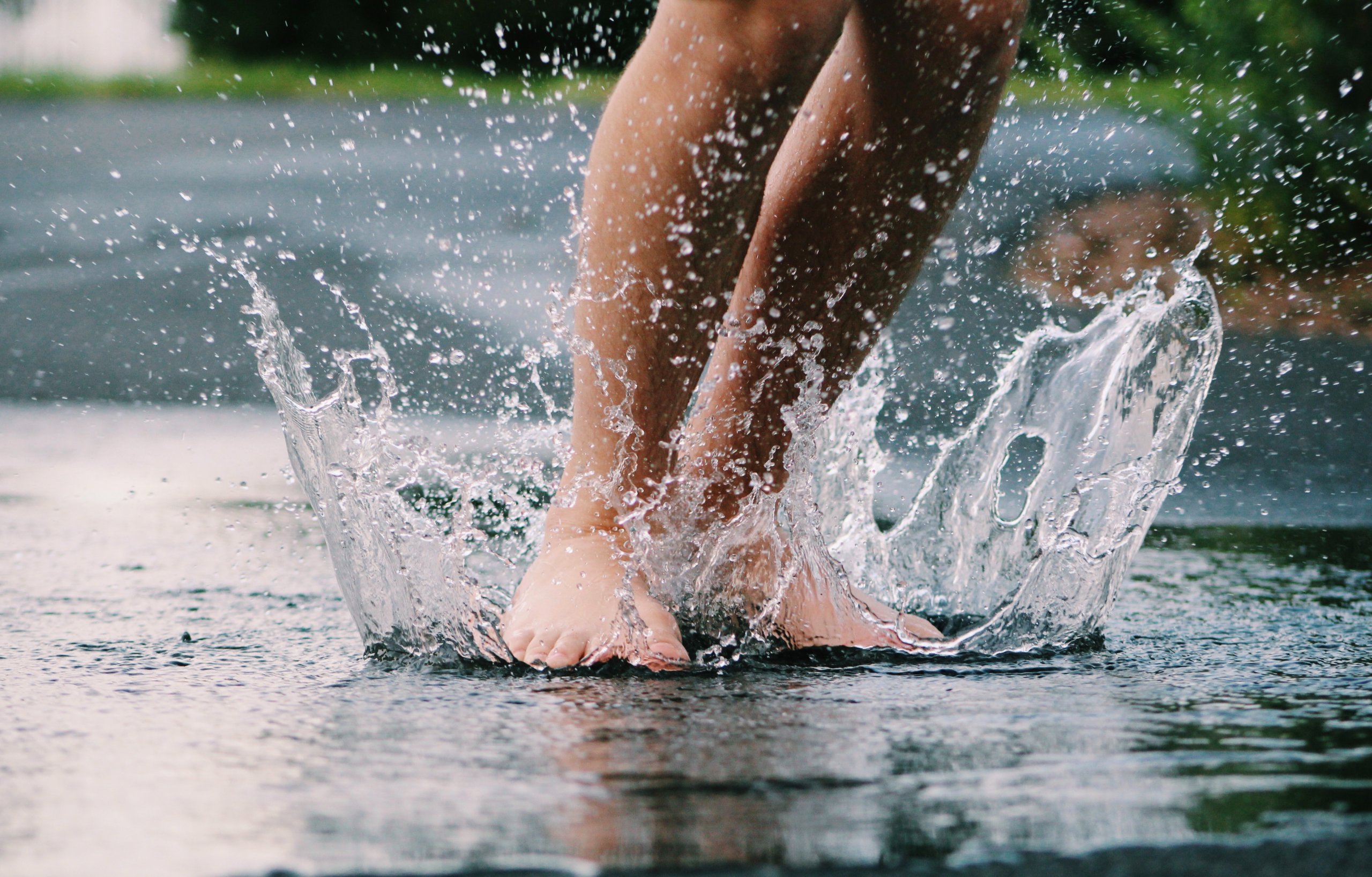 how-to-dry-wet-carpet-fast-step-by-step-cleanerpicks-guide