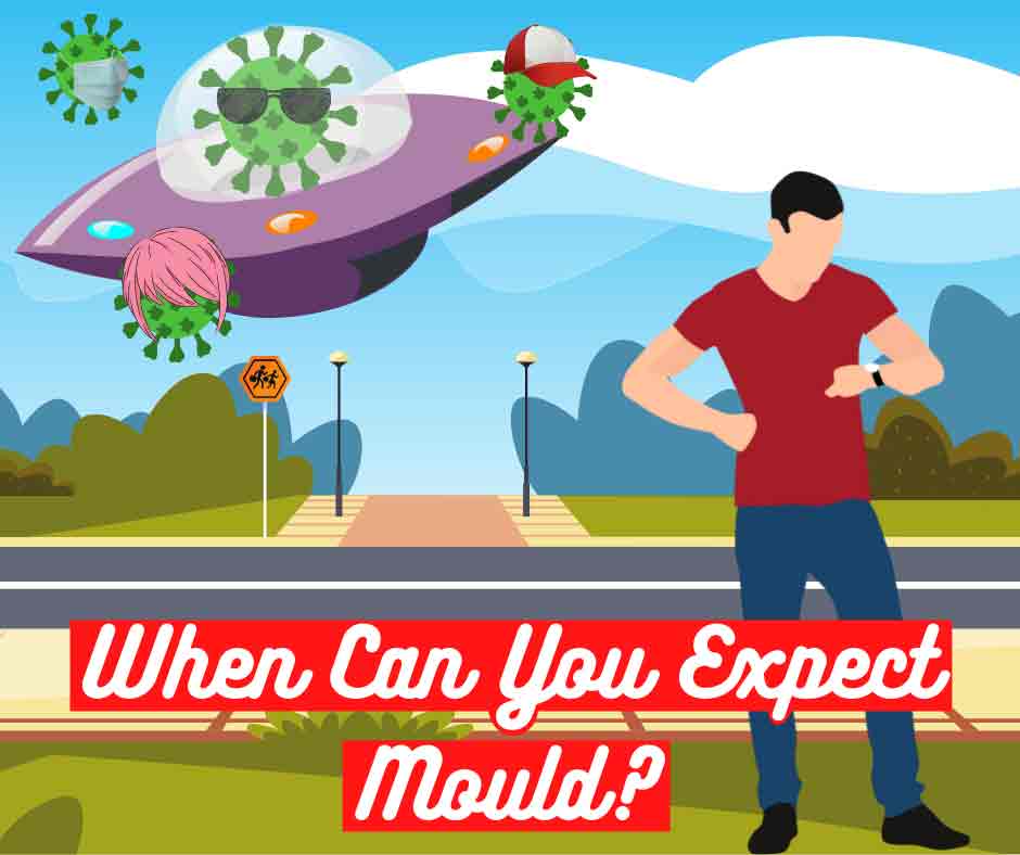 when_expect_mould