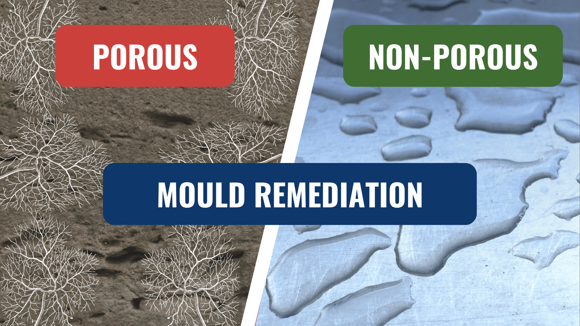 Porous Vs Non porous Materials For Mould Remediation AllAces Cleaning 