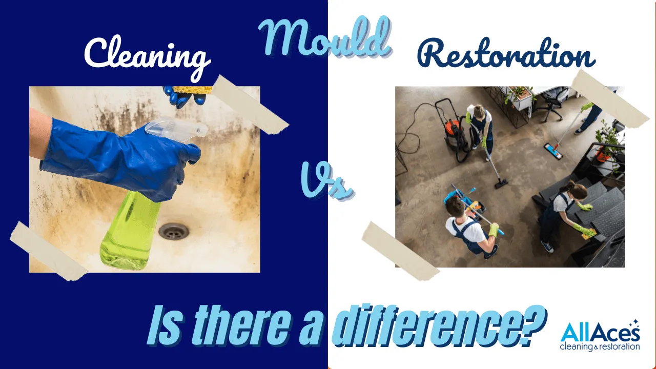 Mould Cleaning vs Restoration 1 Mould removal sydney