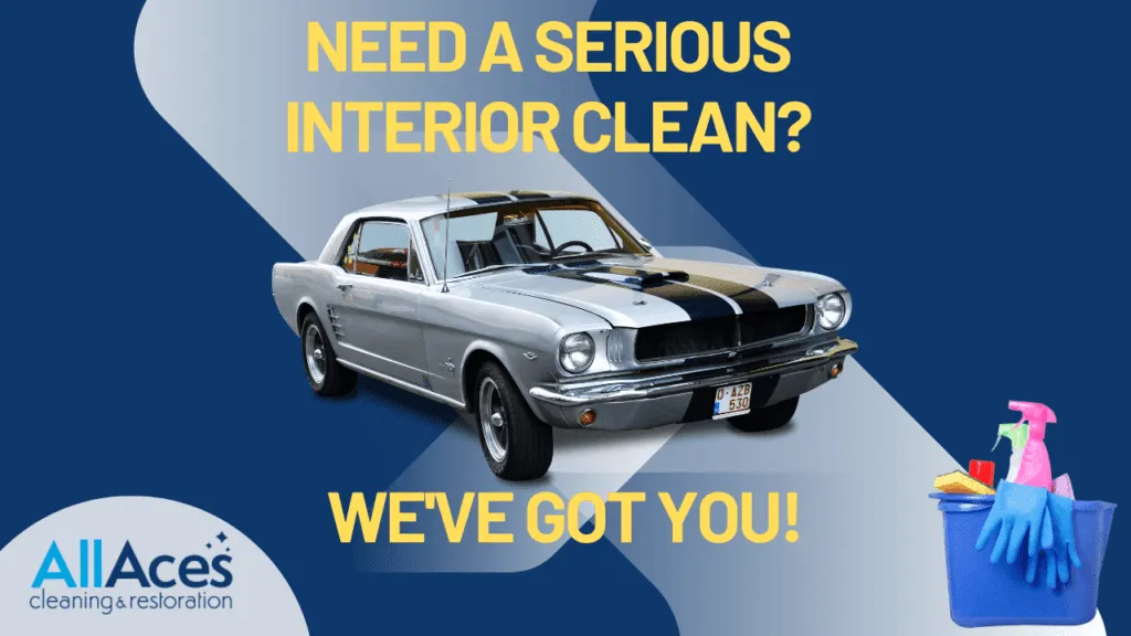 Professional mould removal treatment carried out by an AllAces technician.