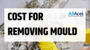 Mould removal cost in Australia: technician assessing mould before quoting