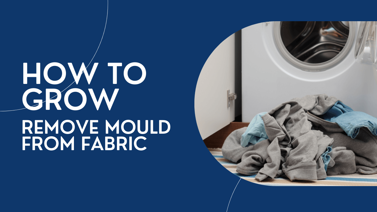 How To Remove Mould From Fabric Allaces Cleaning And Restoration