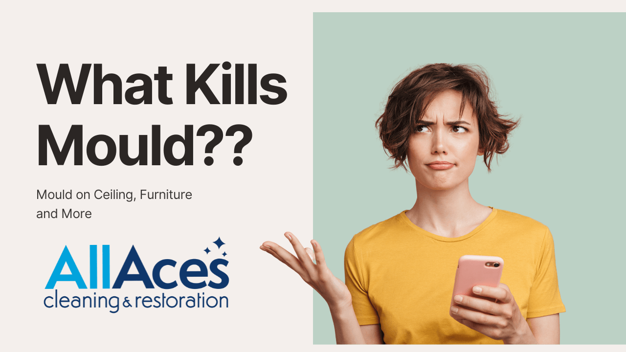 What Kills Mould? Mould on Ceiling, Furniture, and More | AllAces