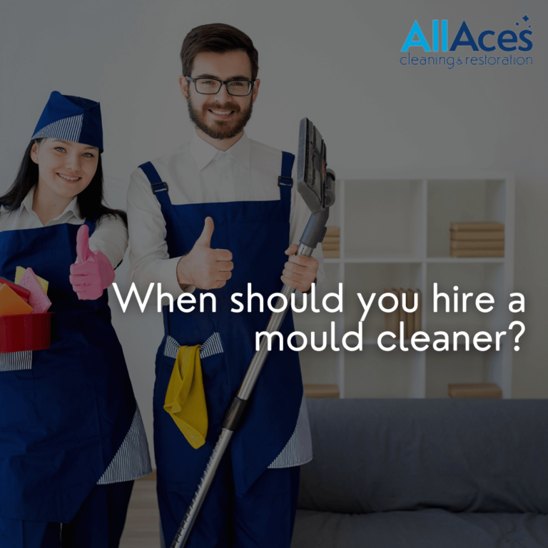 mould cleaning