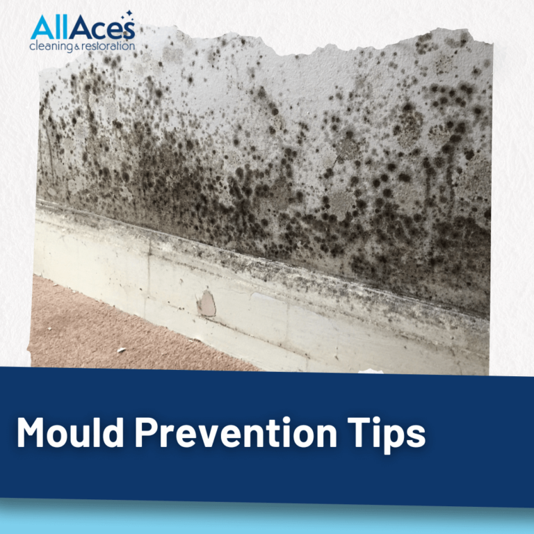 mould prevention from mould cleaners