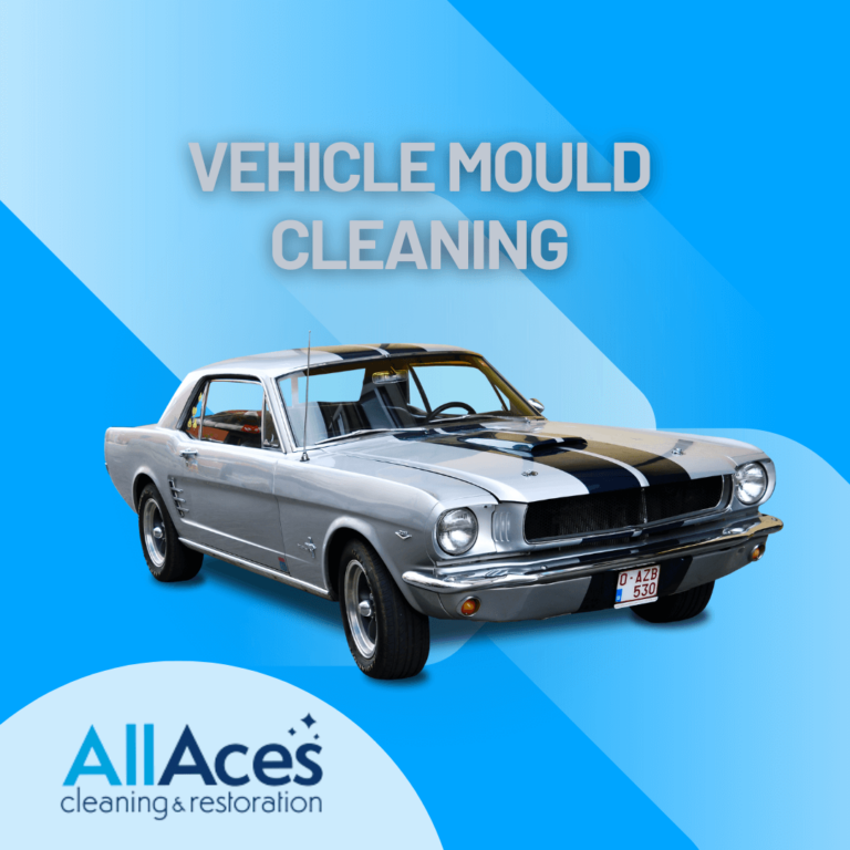 mould cleaning cars