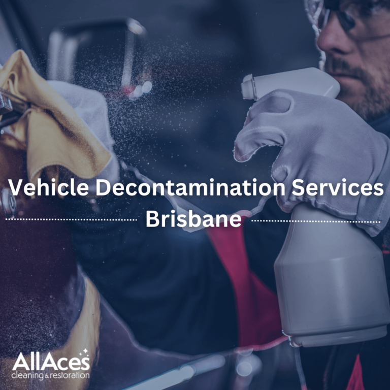 vehicle decontamination brisbane