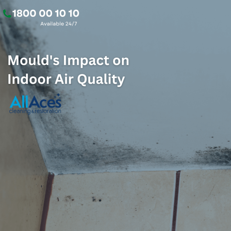 mould removal Melbourne