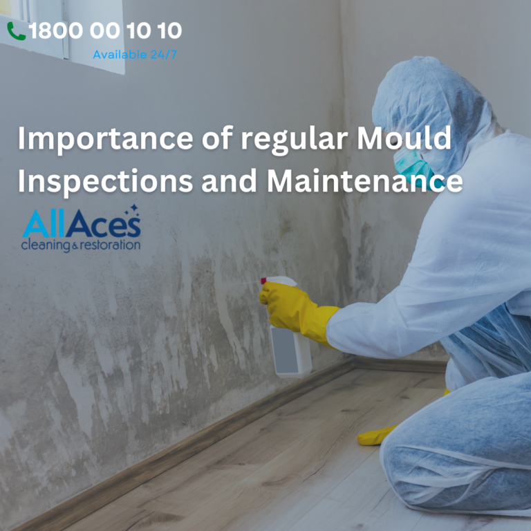 mould cleaners melbourne