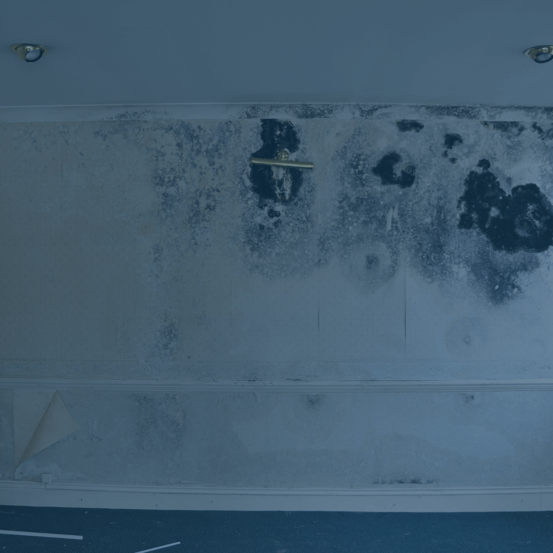 how-to-remove-mould-from-sealant-black-stains-will-disappear