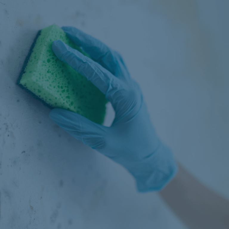 mould cleaners