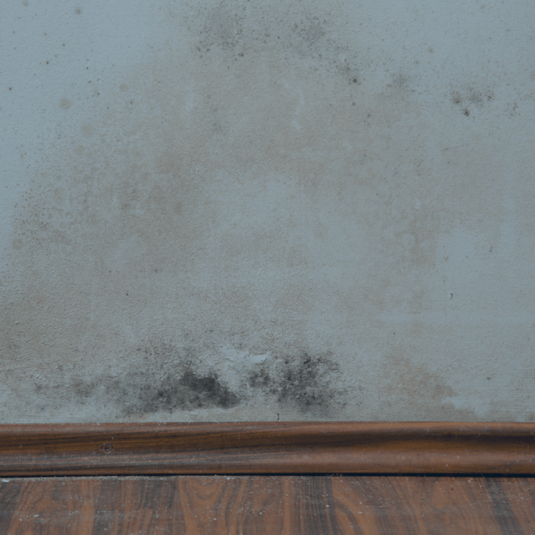 mould cleaners