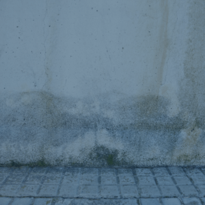 Flood Damage Restoration Services | Main 10 water damage restoration