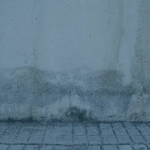 water damage restoration