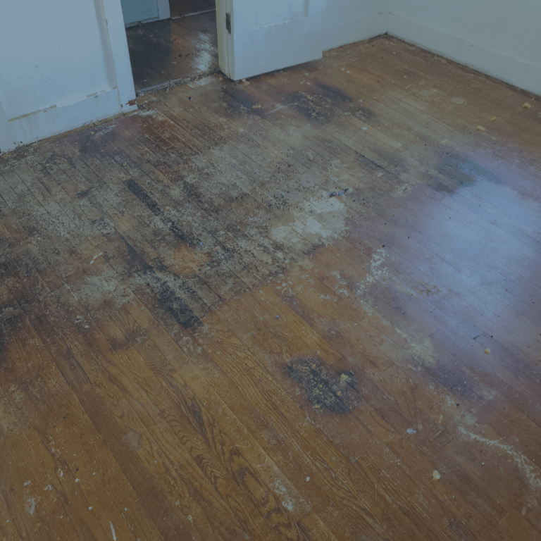 water damage restoration on floor