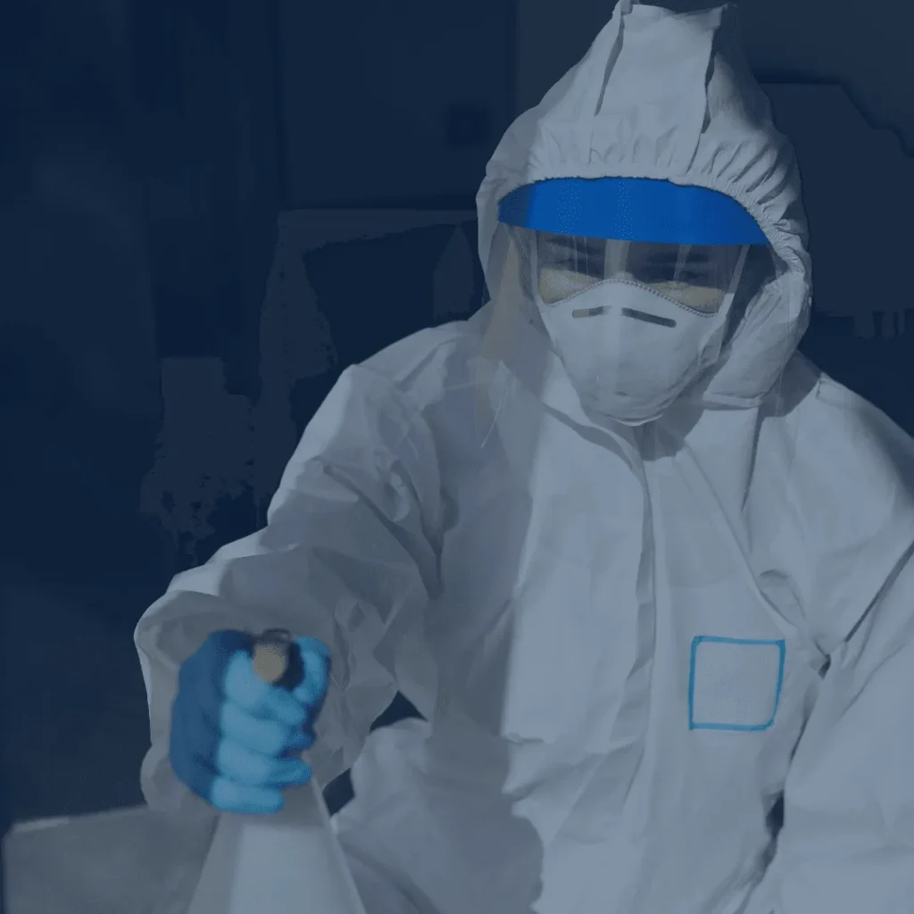 mould cleaner sydney
