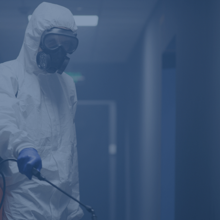 forensic cleaning