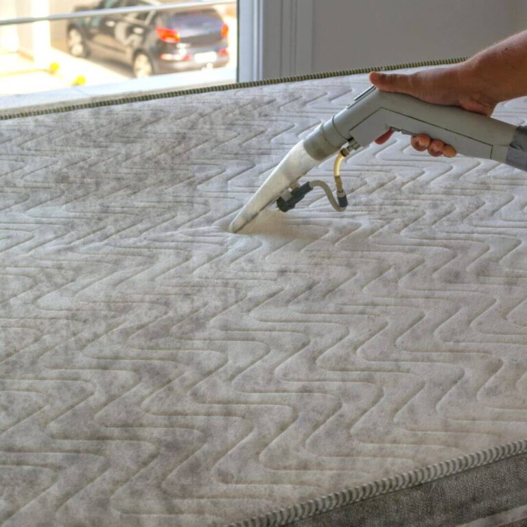 mould cleaner tips - how to remove mould from mattress