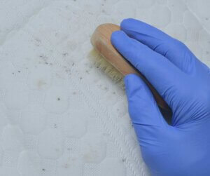 mould cleaning on mattress 