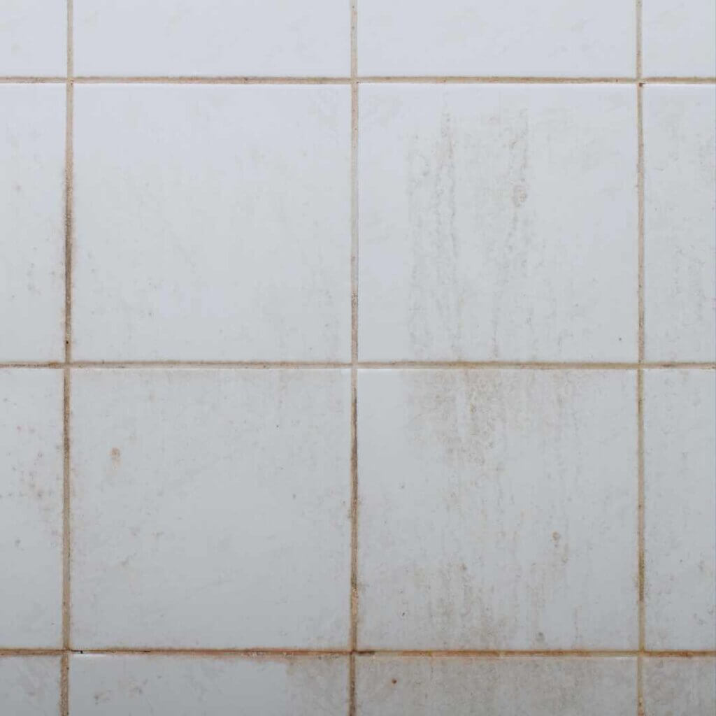 mould cleaning inspection as there is mould on tiles