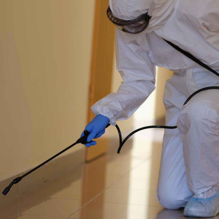 mould cleaners brisbane