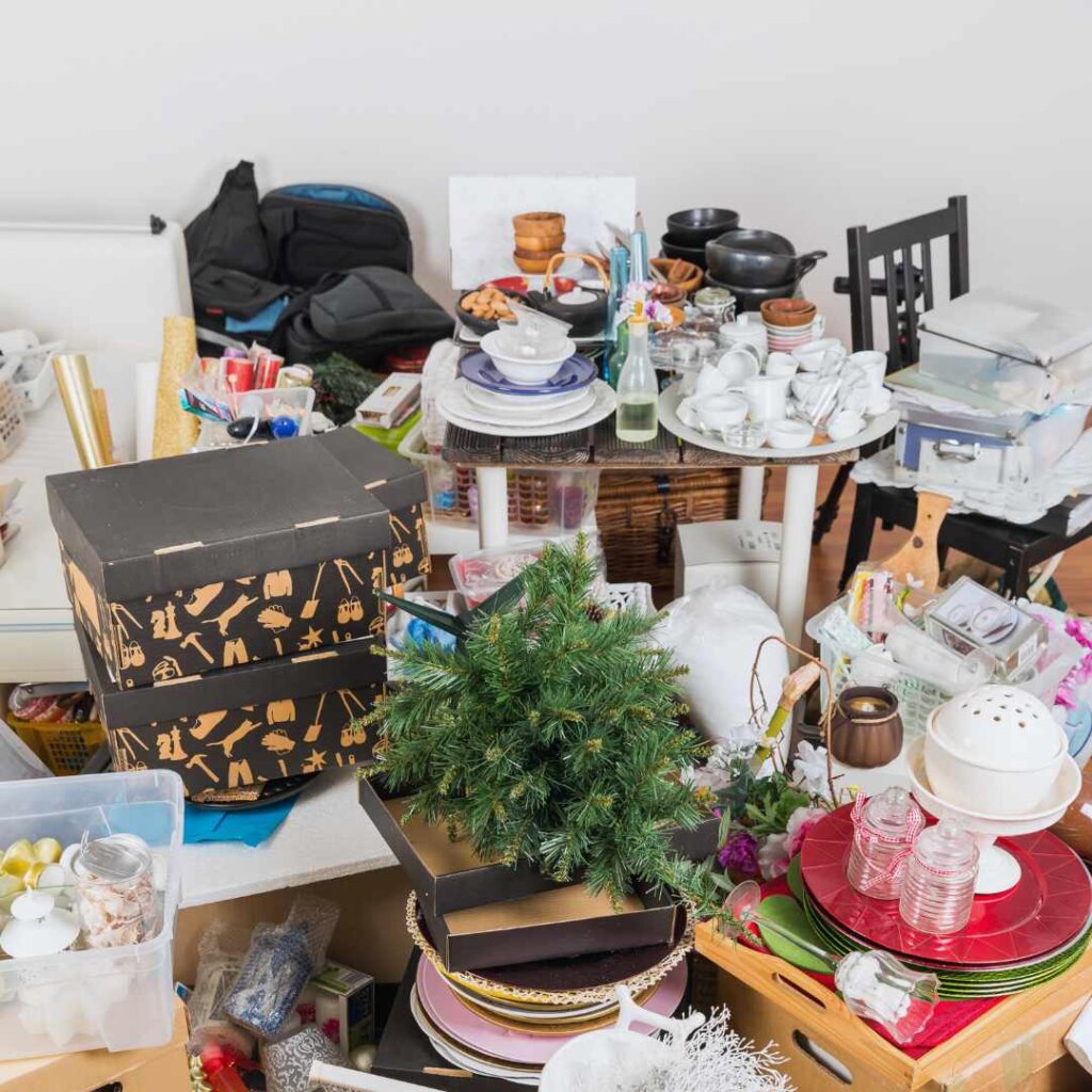 hoarding cleanup and clutter cleaning services 