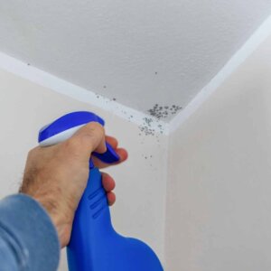 DIY celling mould removal