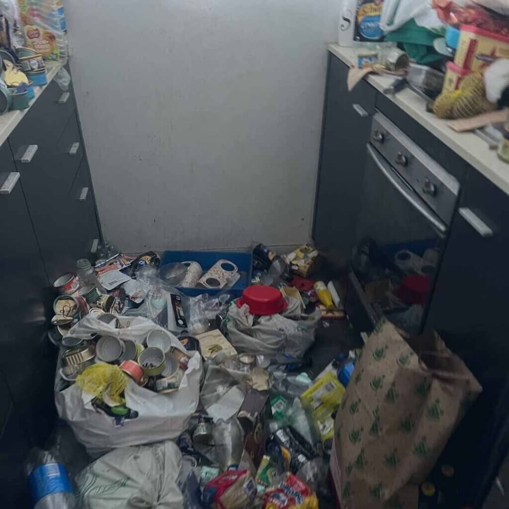 Hoarder cleanup case study from domestic customer