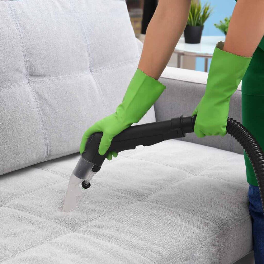 mould removal cleaning upholstery