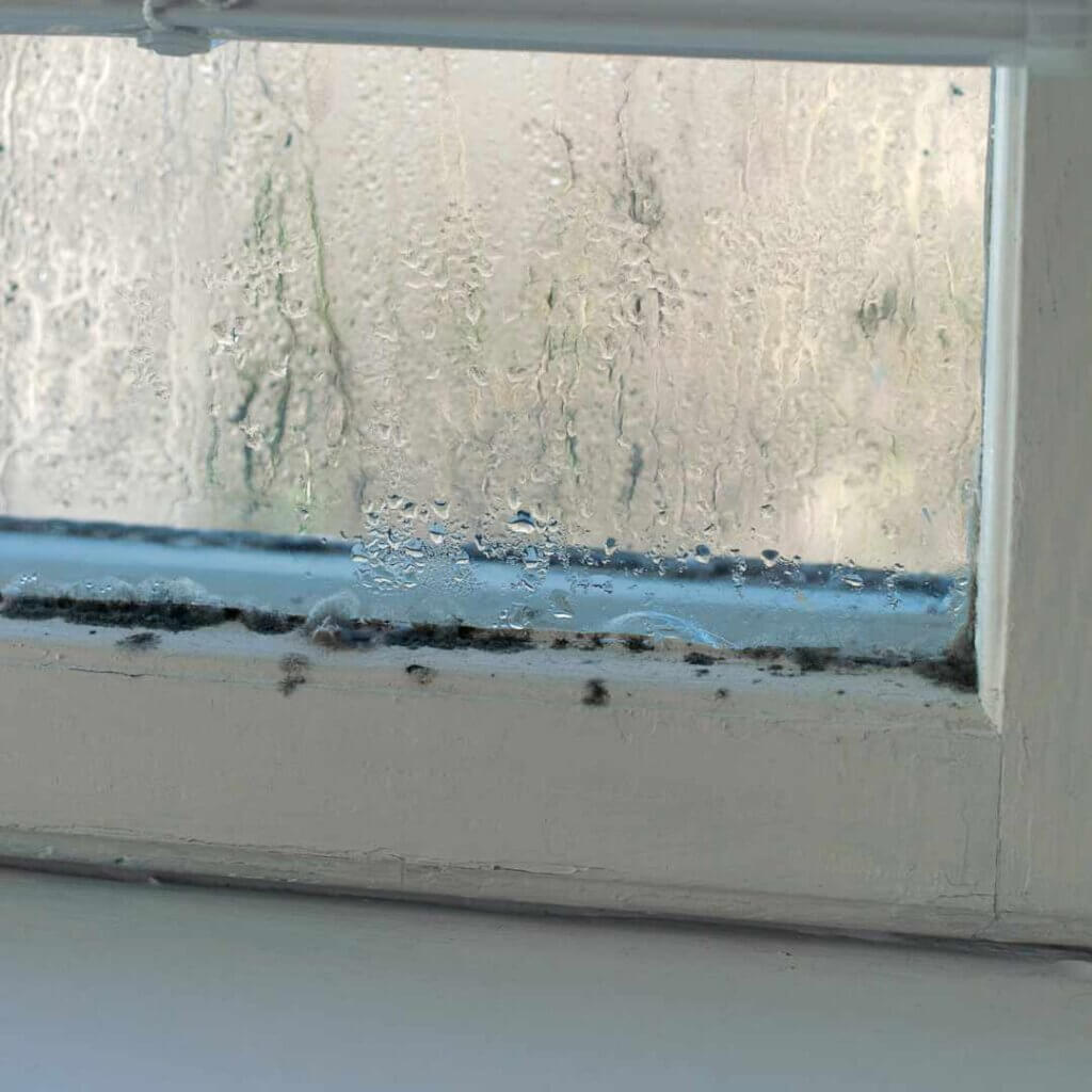 commercial mould cleaning and removal required on windows and AC