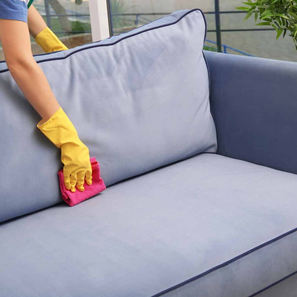 Upholstery & Leather Care - DIY Mould Removal 1 mould cleaning upholstery
