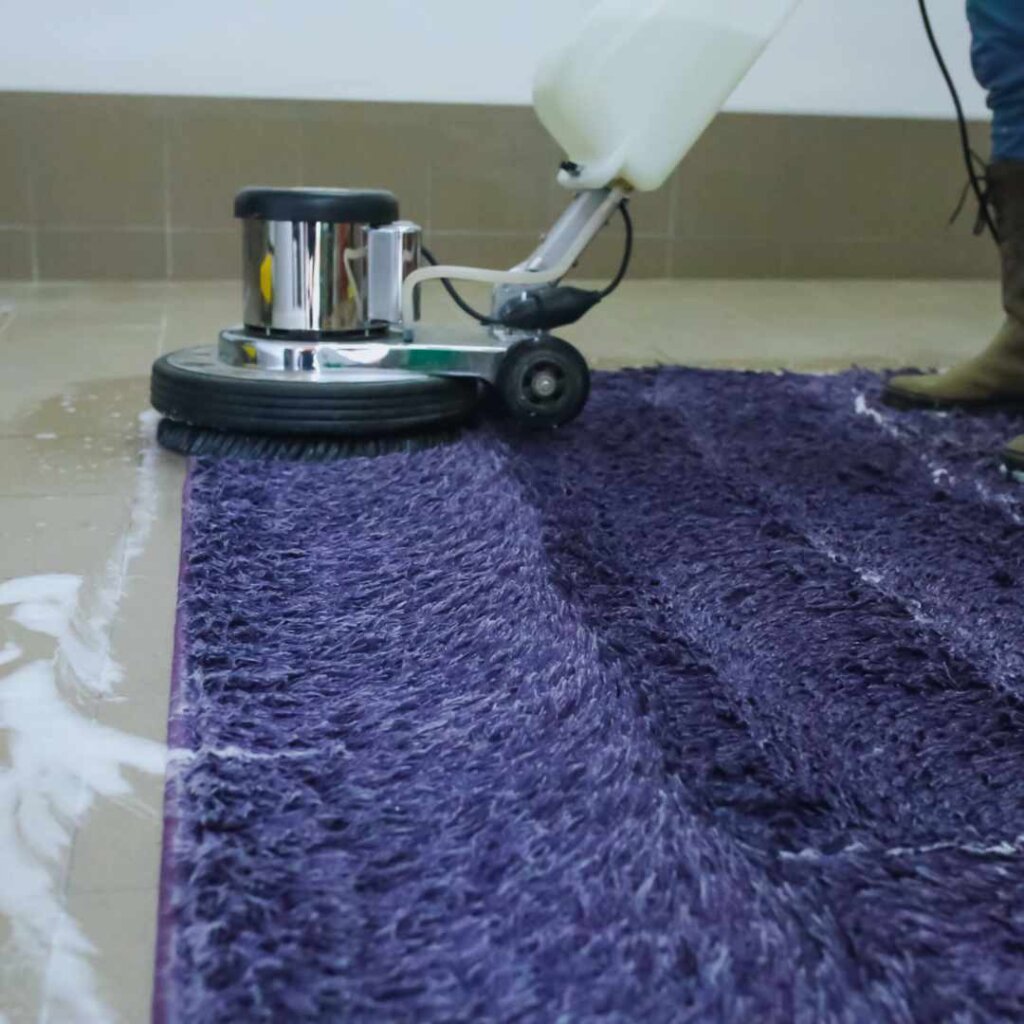 proven carpet odour removal methods