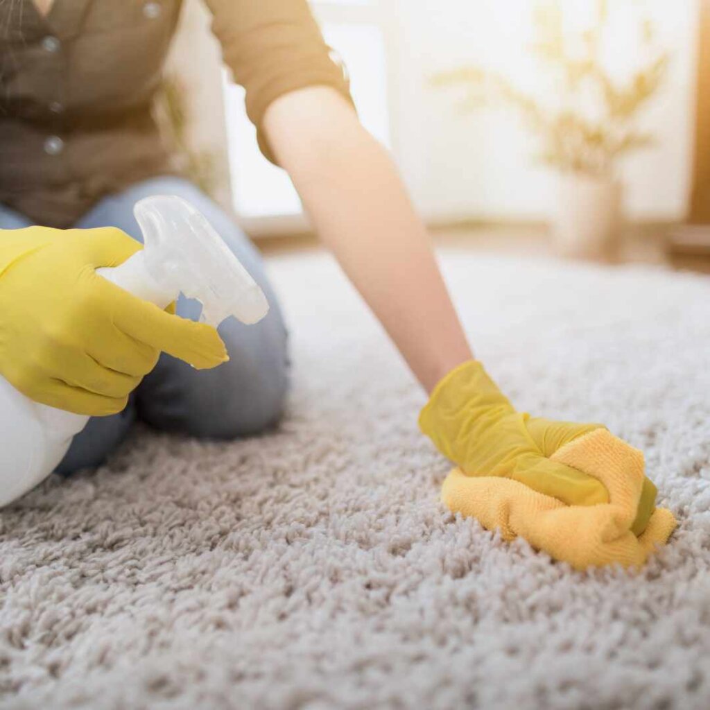 home remedies for carpet odour removals