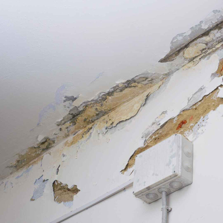 flood damage restoration