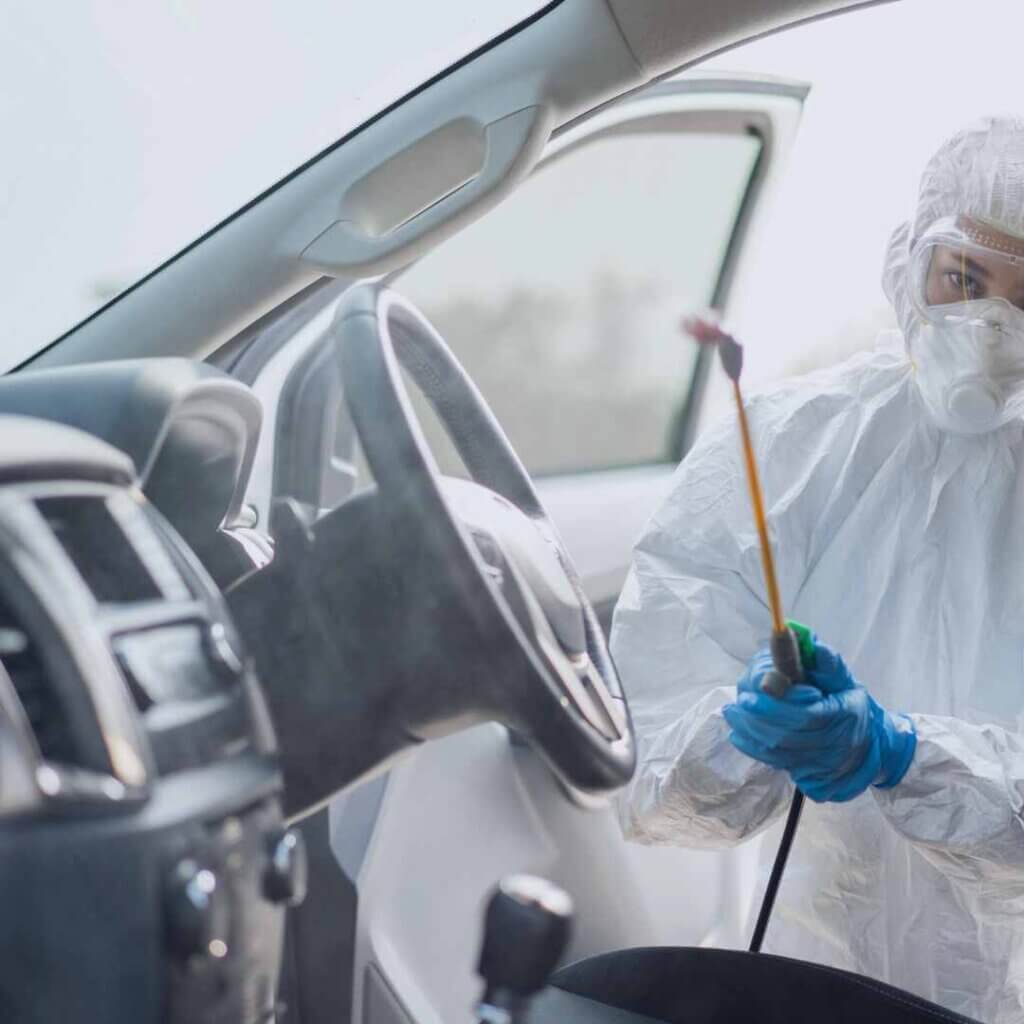 mould removal services in car