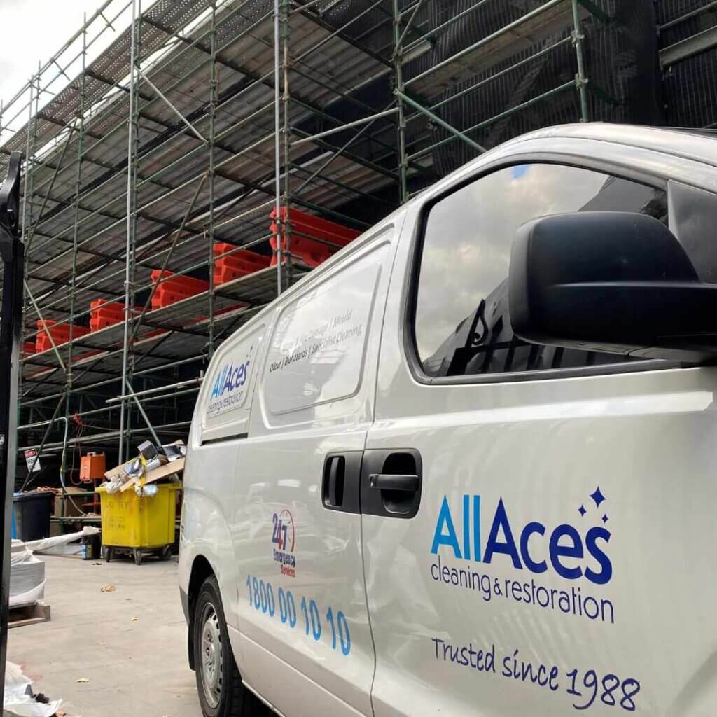 AllAces mould remediation company 