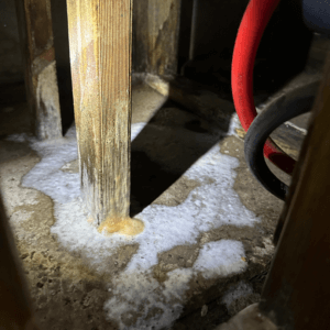 Mould remediation water lead