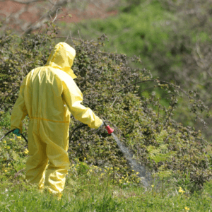forensic clean-up