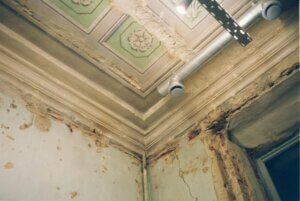Mould cleaning ceiling