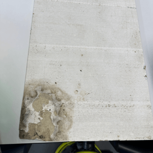 Professional mould removal