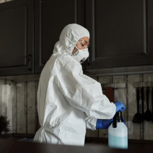 professional mould cleaning