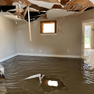 Water removal services
