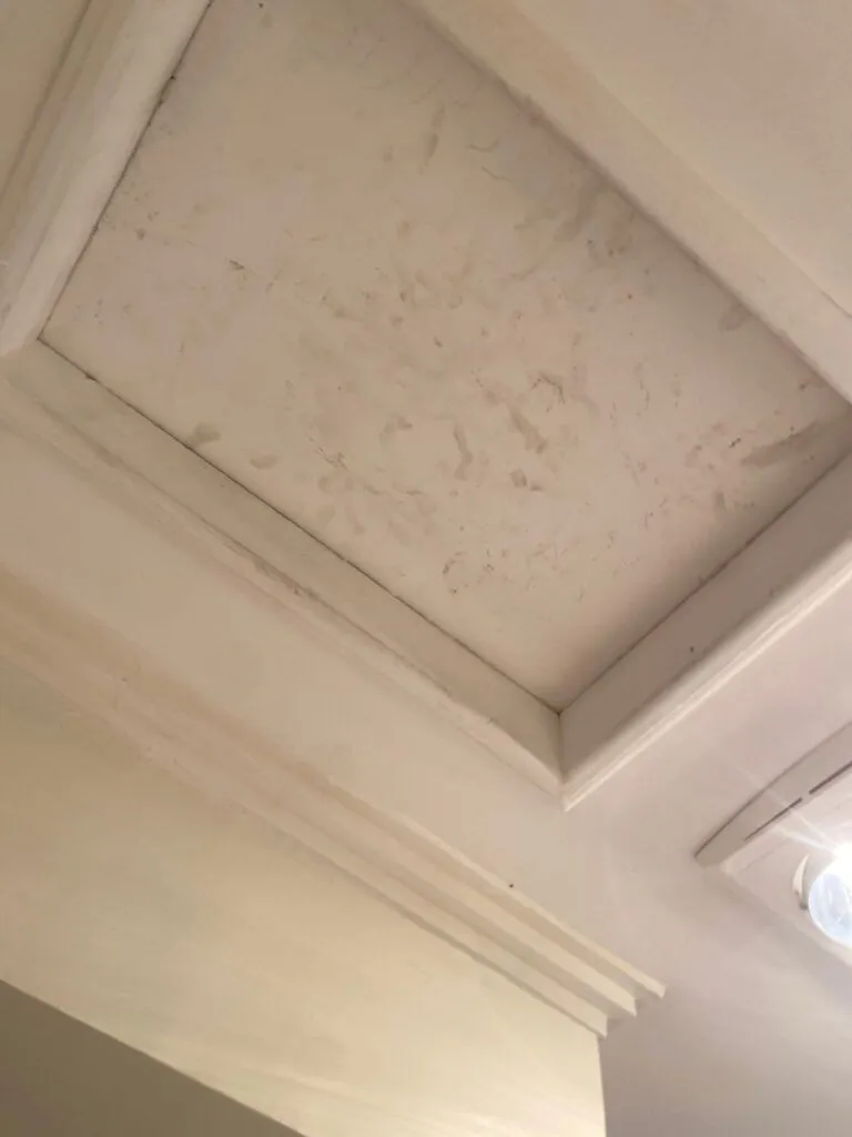 Mould Cleaning