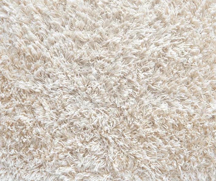 Water Removal | Effective Wet Carpet Drying Techniques 2 Water removal
