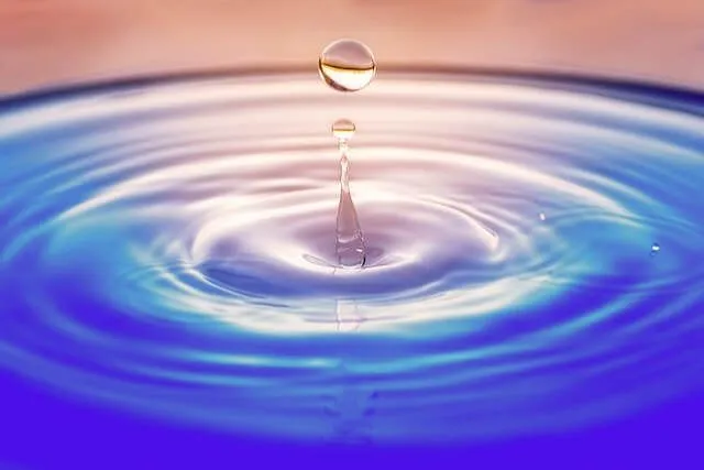 water removal services