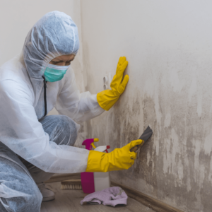 Trauma cleaning