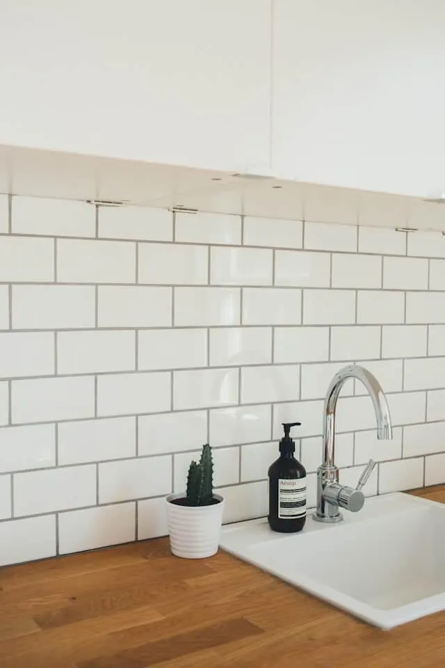 mould removal